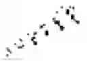 Fig. 06 - SSAO inhibitor