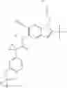 Fig. 325 - Modulators of ATP-binding cassette transporters