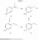 Fig. 358 - Modulators of ATP-binding cassette transporters