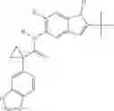 Fig. 48 - Modulators of ATP-binding cassette transporters