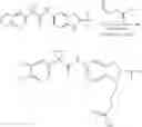 Fig. 762 - Modulators of ATP-binding cassette transporters