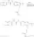 Fig. 764 - Modulators of ATP-binding cassette transporters