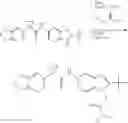 Fig. 765 - Modulators of ATP-binding cassette transporters