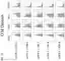 Fig. 18 - Cells expressing chimeric activating receptors and chimeric stimulating receptors and uses thereof