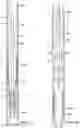 Fig. 03 - Running tool and method of cleaning a downhole well casing