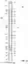 Fig. 02 - Apparatus and method for abrasive perforating and clean-out