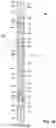 Fig. 03 - Apparatus and method for abrasive perforating and clean-out