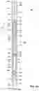 Fig. 06 - Apparatus and method for abrasive perforating and clean-out