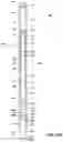 Fig. 19 - Apparatus and method for abrasive perforating and clean-out