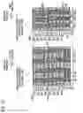 Fig. 22 - Non-volatile semiconductor storage device and method of manufacturing the same