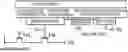 Fig. 01 - Imaging element, stacked imaging element, and solid-state imaging device