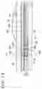 Fig. 74 - Imaging element, stacked imaging element, and solid-state imaging apparatus
