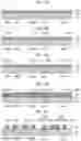 Fig. 09 - Imaging device and manufacturing method thereof
