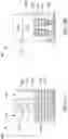 Fig. 12 - Gate Stacks for Stack-Fin Channel I/O Devices and Nanowire Channel Core Devices