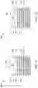 Fig. 14 - Gate Stacks for Stack-Fin Channel I/O Devices and Nanowire Channel Core Devices