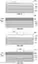Fig. 07 - Methods of forming electronic devices