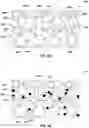 Fig. 08 - Methods of forming electronic devices