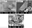 Fig. 01 - Method of producing iron phosphide, positive electrode for lithium secondary battery comprising iron phosphide, and lithium secondary battery comprising same
