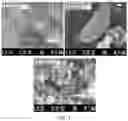 Fig. 02 - Method of producing iron phosphide, positive electrode for lithium secondary battery comprising iron phosphide, and lithium secondary battery comprising same