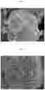 Fig. 02 - Positive electrode active material particle powder for non-aqueous electrolyte secondary battery, method for producing same, and non-aqueous electrolyte secondary battery