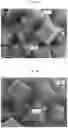 Fig. 09 - Positive electrode active material particle powder for non-aqueous electrolyte secondary battery, method for producing same, and non-aqueous electrolyte secondary battery
