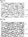 Fig. 03 - Positive electrode for nonaqueous secondary battery, method for forming the same, nonaqueous secondary battery, and electrical device