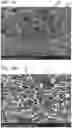 Fig. 12 - Positive electrode for nonaqueous secondary battery, method for forming the same, nonaqueous secondary battery, and electrical device
