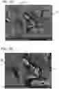 Fig. 13 - Positive electrode for nonaqueous secondary battery, method for forming the same, nonaqueous secondary battery, and electrical device