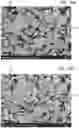 Fig. 16 - Positive electrode for nonaqueous secondary battery, method for forming the same, nonaqueous secondary battery, and electrical device