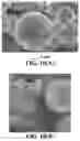 Fig. 10 - ELECTROCHEMICALLY STABLE ANODE PARTICULATES FOR LITHIUM SECONDARY BATTERIES AND METHOD OF PRODUCTION