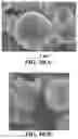 Fig. 11 - Method of producing electrochemically stable anode particulates for lithium secondary batteries