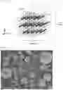 Fig. 02 - POSITIVE ELECTRODE ACTIVE SUBSTANCE PARTICLES COMPRISING LITHIUM NICKELATE COMPOSITE OXIDE, AND NON-AQUEOUS ELECTROLYTE SECONDARY BATTERY