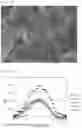 Fig. 09 - POSITIVE ELECTRODE ACTIVE SUBSTANCE PARTICLES COMPRISING LITHIUM NICKELATE COMPOSITE OXIDE, AND NON-AQUEOUS ELECTROLYTE SECONDARY BATTERY