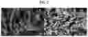 Fig. 03 - Negative electrode material comprising silicon flakes and preparing method of silicon flakes