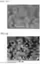 Fig. 06 - Electrode active material for sodium secondary battery, electrode for sodium secondary battery, sodium secondary battery and method for producing composite metal oxide
