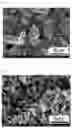 Fig. 05 - Method for producing sodium composite transition metal oxide, positive electrode active material for sodium secondary battery, positive electrode and sodium secondary battery comprising the same