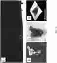 Fig. 03 - Aqueous binder for lithium-sulfur secondary battery, preparation method thereof and lithium-sulfur secondary battery comprising the same