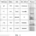 Fig. 05 - Aqueous binder for lithium-sulfur secondary battery, preparation method thereof and lithium-sulfur secondary battery comprising the same