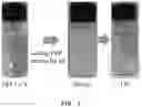 Fig. 06 - Aqueous binder for lithium-sulfur secondary battery, preparation method thereof and lithium-sulfur secondary battery comprising the same