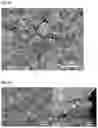Fig. 04 - CERAMIC COMPOSITE FOR FUEL CELL ANODE AND METHOD FOR PREPARING THE SAME