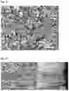 Fig. 05 - CERAMIC COMPOSITE FOR FUEL CELL ANODE AND METHOD FOR PREPARING THE SAME