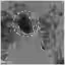 Fig. 01 - Carbon material for use as catalyst carrier of polymer electrolyte fuel cell and method of producing the same