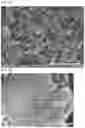 Fig. 04 - Carbon material for use as catalyst carrier of polymer electrolyte fuel cell and method of producing the same