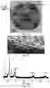 Fig. 03 - Method of producing stable, active and mass-producible PtNi catalysts through preferential co etching