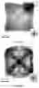 Fig. 04 - Method of producing stable, active and mass-producible PtNi catalysts through preferential co etching