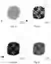 Fig. 07 - Method of producing stable, active and mass-producible PtNi catalysts through preferential co etching