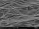 Fig. 01 - GAS DIFFUSION LAYER FOR FUEL CELL, COMPRISING SPUN CARBON NANOFIBER LAYER