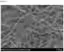 Fig. 03 - GAS DIFFUSION LAYER FOR FUEL CELL, COMPRISING SPUN CARBON NANOFIBER LAYER