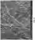 Fig. 03 - Magnetodielectric metamaterials and articles including magnetodielectric metamaterials