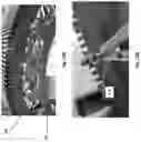 Fig. 19 - Electric machine, tuned winding geometry and technology and related methods